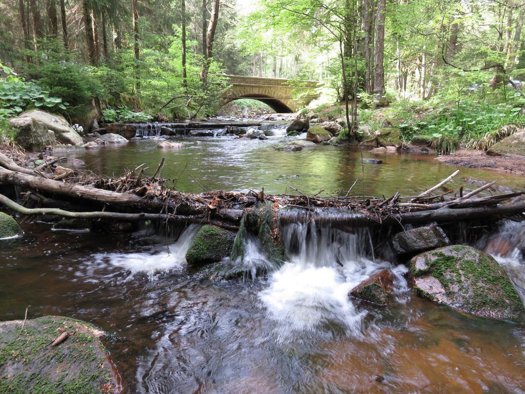 Fewo Kruse Am Wurmberg Braunlage Εξωτερικό φωτογραφία